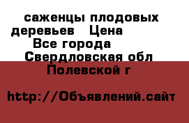 саженцы плодовых деревьев › Цена ­ 6 080 - Все города  »    . Свердловская обл.,Полевской г.